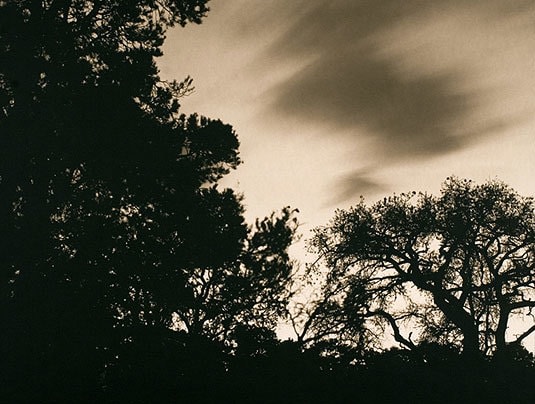 Dusk, East Mojave Desert, California, 2006, palladium print