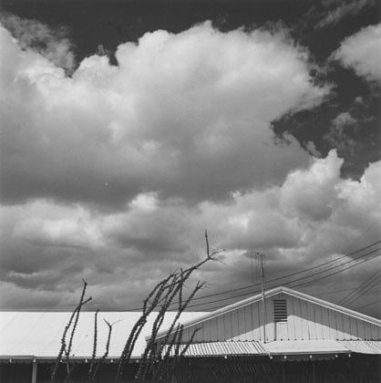 29 Palms, CA, 1975