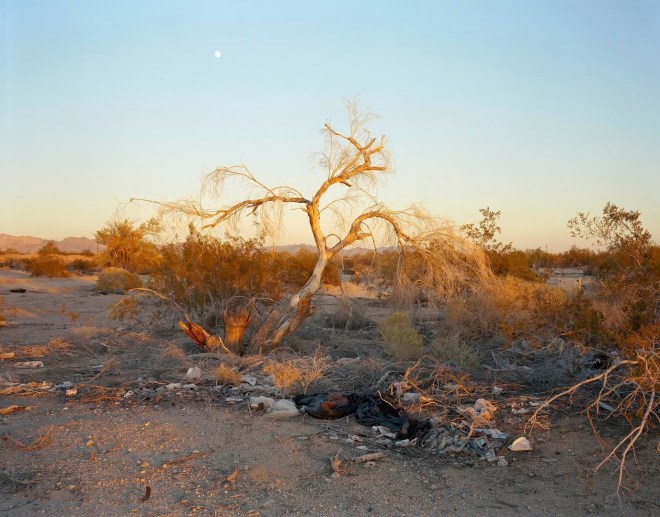 Moonrise, Slab City, CA