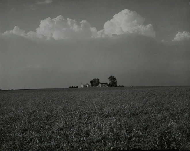 untitled, Illinois Landscape