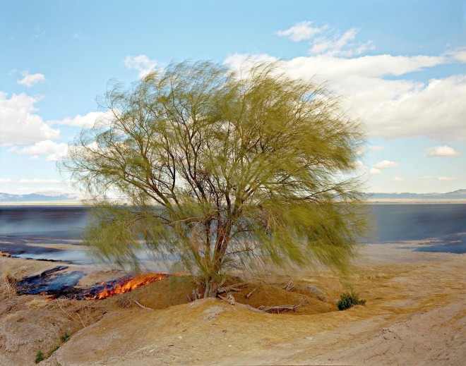 Burning Fields Before Planting, Near Calipatria, CA