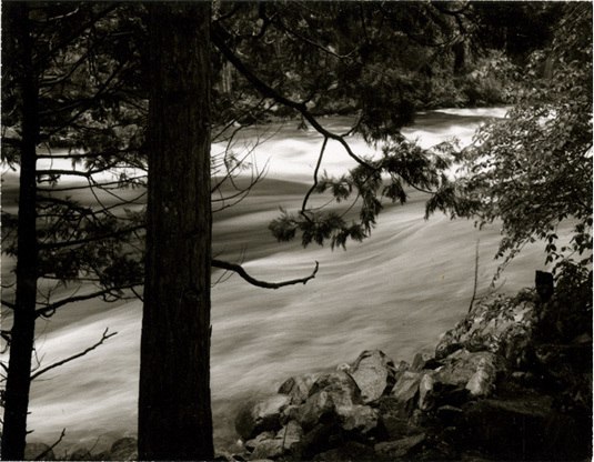 unique Polaroid Type 55 print, circa. 1960