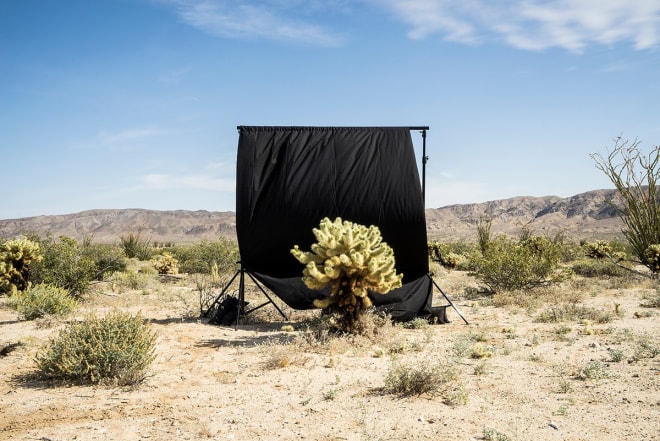 Rebecca Webb, Jumping Cholla I (Scenes in America Deserta),&nbsp;from the San Diego Views Portfolio