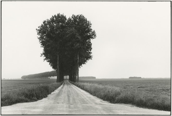 Brie, France, 1968, gelatin silver print