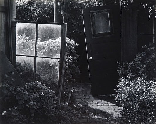 Garden Detail, San Francisco, 1947, From Portfolio Two, Published 1968