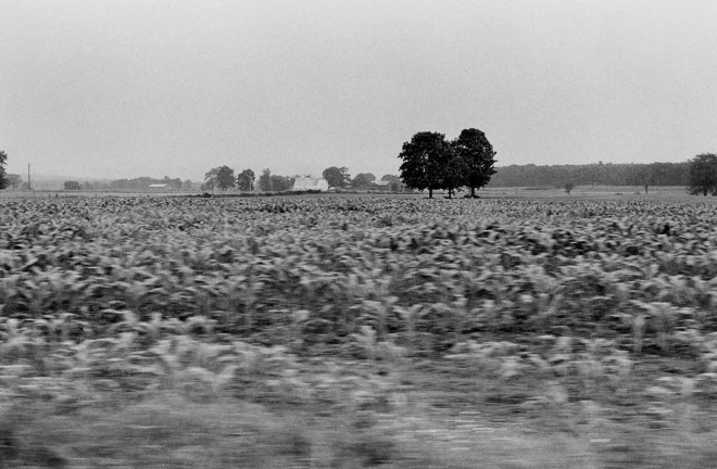 Autolandscape, Massachusetts, 1972