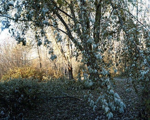 After the Storm, New Hampshire