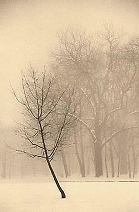 Paul Kozal, Winter, 1995, sepia toned gelatin silver print, 8 x 10 inches