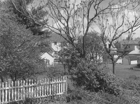 Madison, WI, 1982