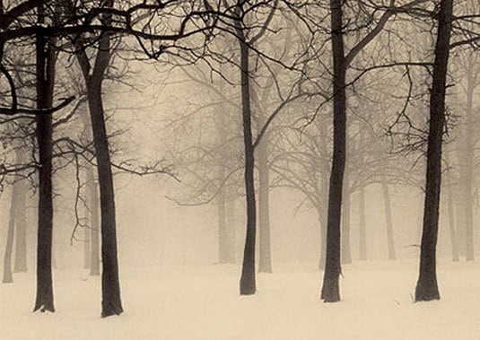 Paul Kozal, Palos Winter, 1995, sepia toned gelatin silver print, 8 x 10 inches