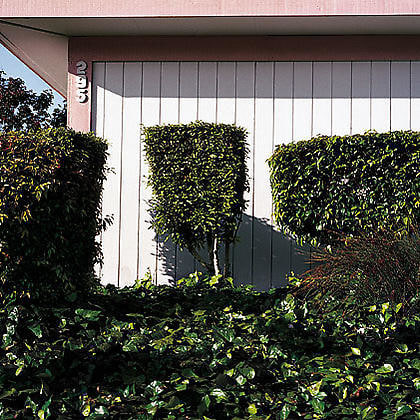 Sunnyvale, from the series Neo Nature, 2005, pigment print