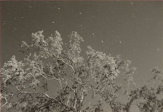 Big Dipper above an Ironwood, Cabeza Prieta, 2005