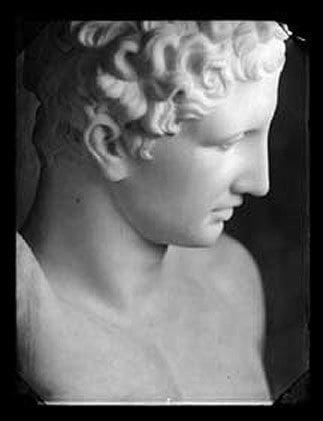 Classical Bust gelatin silver print
