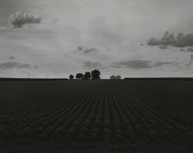 untitled, Illinois Landscape