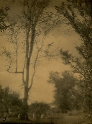 Untitled, c.1920s vintage waxed platinum print