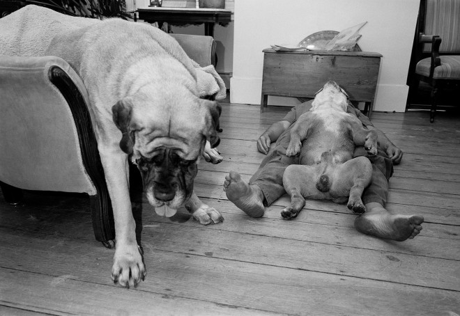 Vincenza, Paris, and Peter, Cambridge, Massachusetts, 1992