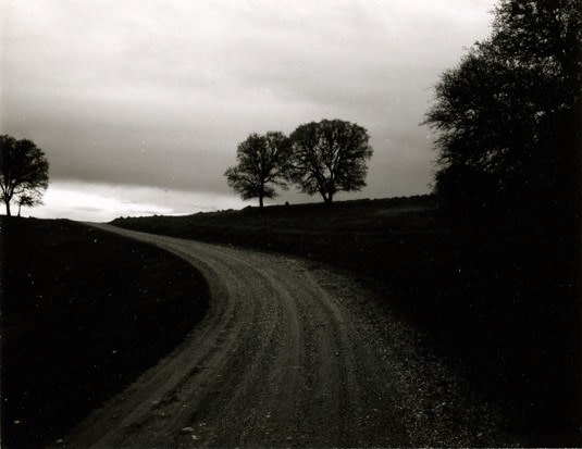 unique Polaroid Type 55 print, circa. 1960