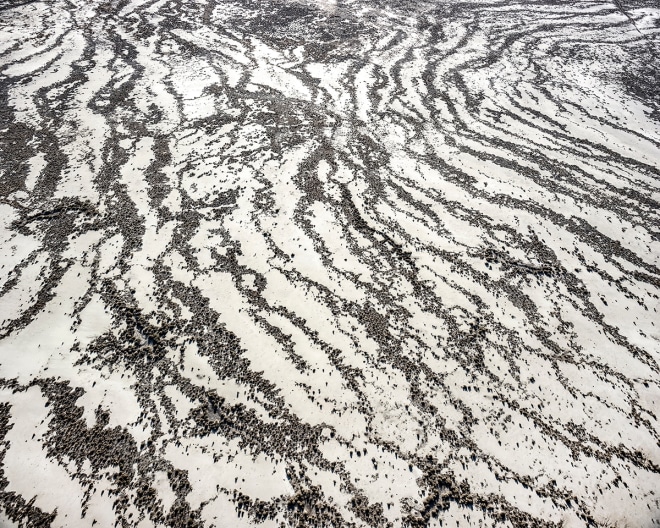 Edge of Lahontan Reservoir Looking Southwest, Remnant of Pleistocene Lake Lahontan, Silver Springs, Nevada, 2018