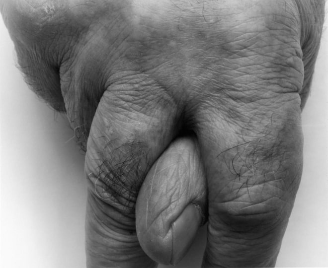 Thumb and Fingers, II, 1999