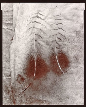 Two Feathers, 1980, From Lost Objects Portfolio, Toned gelatin silver print, 10 x 8 inches