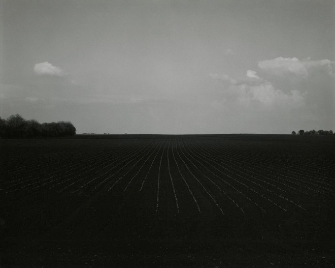 untitled, Illinois Landscape