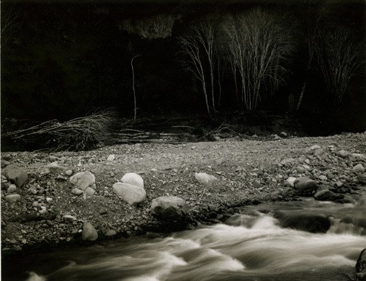 unique Polaroid Type 55 print, circa. 1960