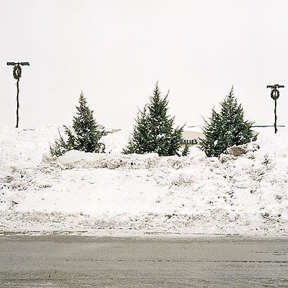 3 Trees, Parking Lot, Streamwood, from the series Neo Nature, 2005, pigment print