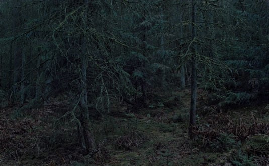 #0075, from the series Wald