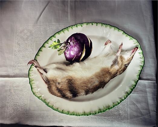 Bandicoot on plate, 2005