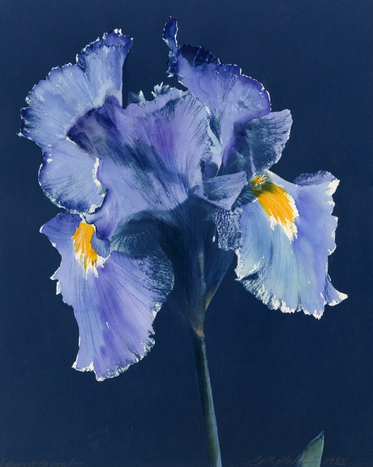 Carmen de Barros Iris, 1985