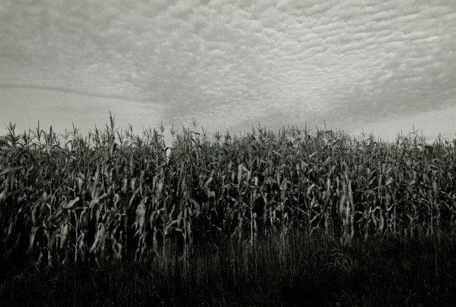 Midwest Diary #74432-28, c. 1974, vintage gelatin silver print