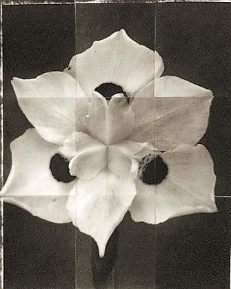 Morea, from the series &quot;Reconstructions,&quot;platinum palladium print on handmade Japanese gampi, sewn on Japanese washi