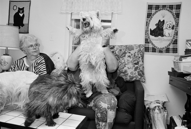 Woman with Westies, New London, New Hampshire, 1992