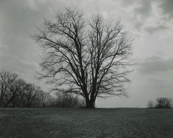 untitled, Illinois Landscape