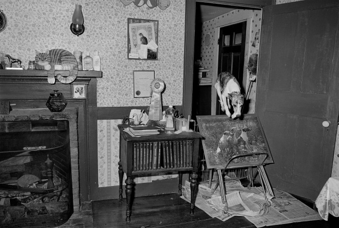 Whippet Jumping Over Whippet Puzzle, Plympton, Massachusetts, 1992