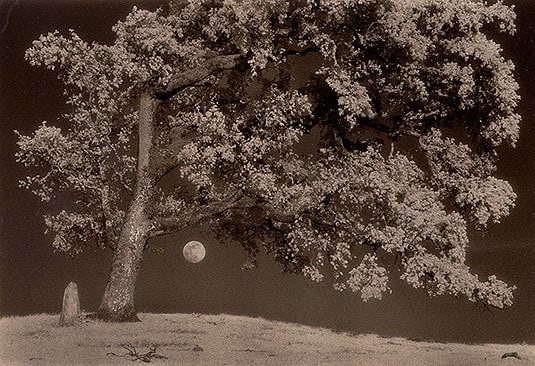 Dragon Moon sepia toned gelatin silver print