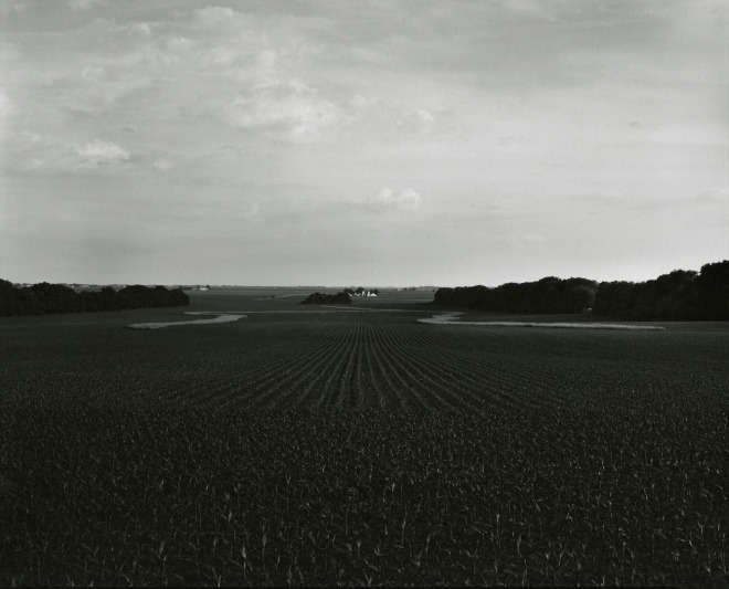 untitled, Illinois Landscape