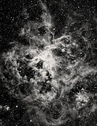 The Tarantula Nebula