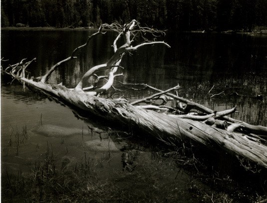 unique Polaroid Type 55 print, circa. 1960