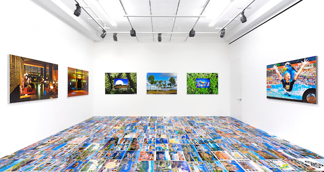 Michel Houellebecq. Installation View, &nbsp;