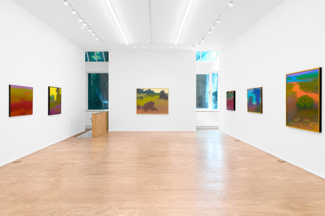 Installation view of Richard Mayhew: Natural Order at Venus Over Manhattan, New York