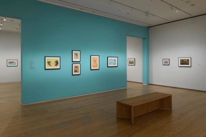 Installation view of Joseph E. Yoakum: What I Saw at the Menil Drawing Institute, Houston