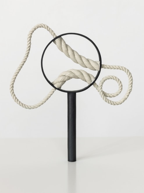 Ricky Swallow Magnifying Glass with Rope No. 1, 2014
