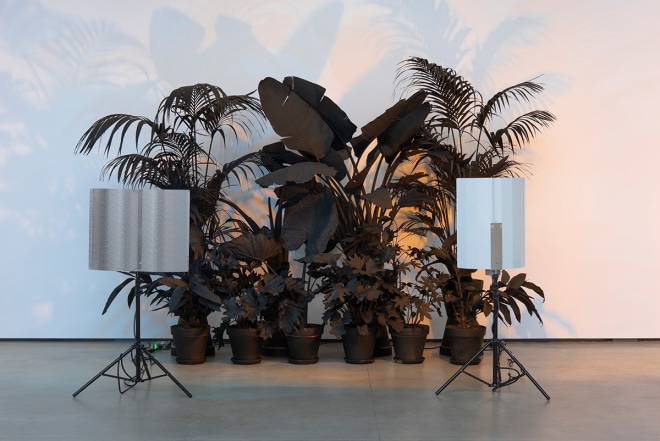 Andrew Dadson Painted Plants, 2015