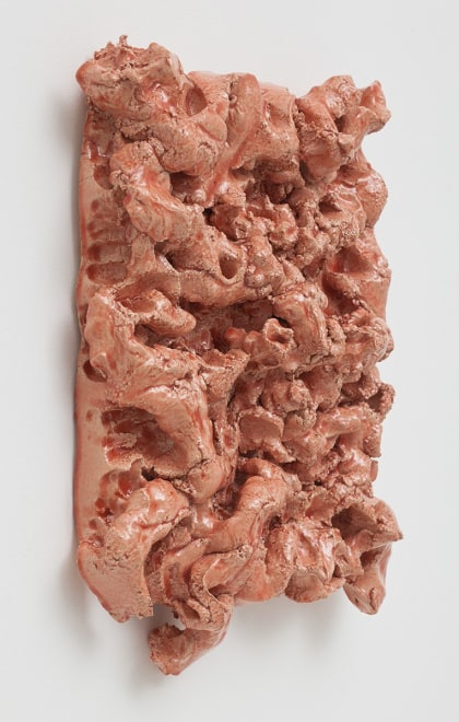Mai-Thu Perret When your whole body is aflame, look into the fire, 2011