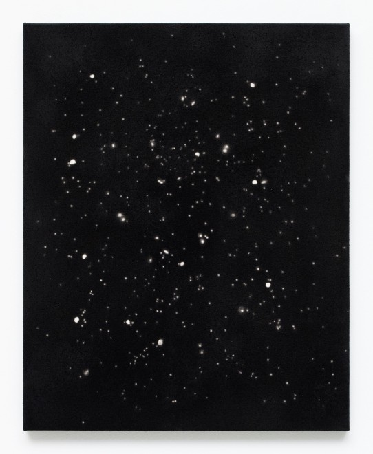 Rashid Johnson Love in Outer Space, 2009