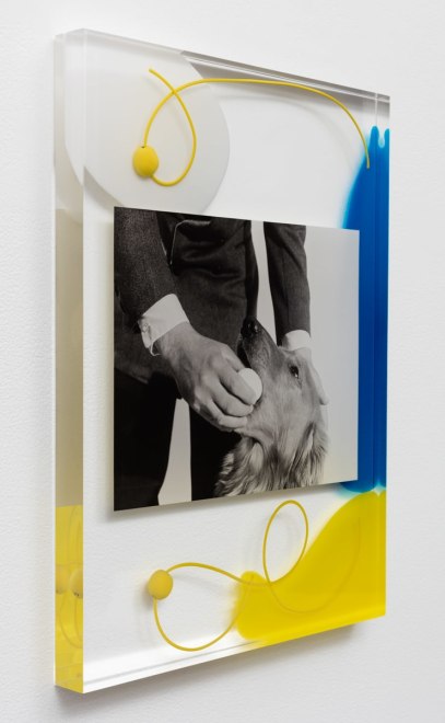 Elad Lassry Untitled (Man and Dog), 2015