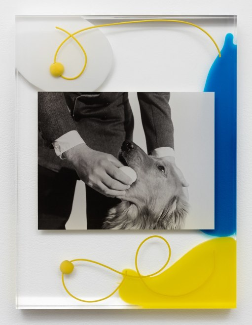 Elad Lassry Untitled (Man and Dog), 2015\