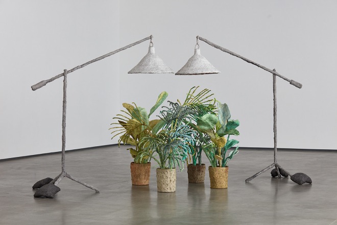 Evan Holloway Plants and Lamps, 2015