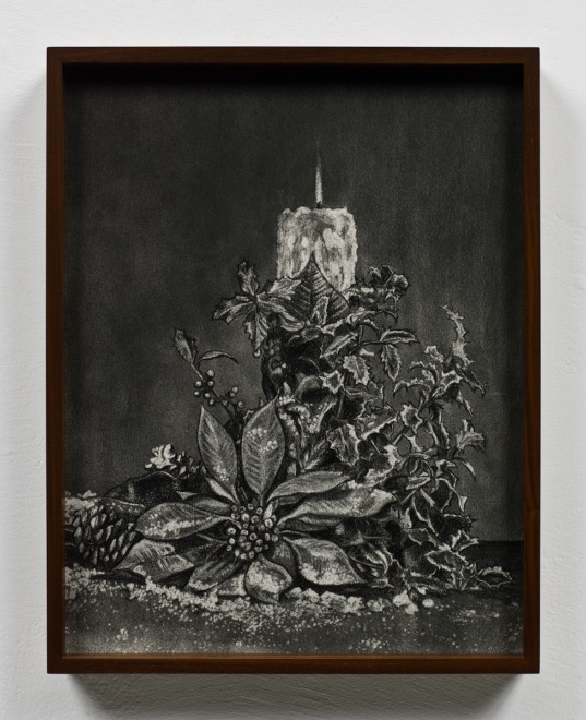 Elad Lassry Pine cone, Poinsettia, Candle, 2012